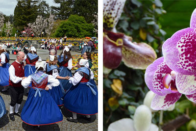 Sonntag, 28. April: Orchideenschau + internationaler Bodensee-Trachtentag