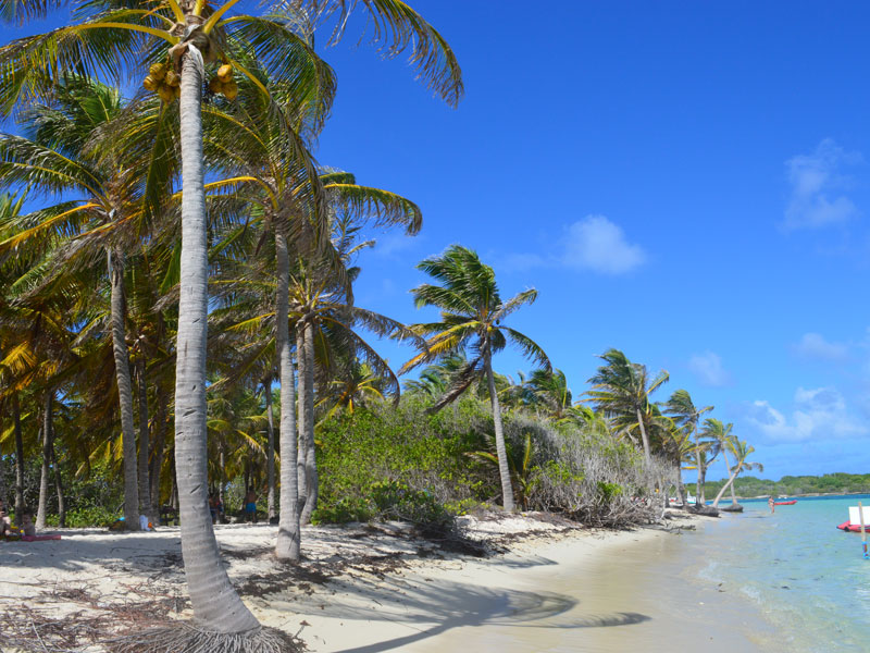 Dominica und Guadeloupe