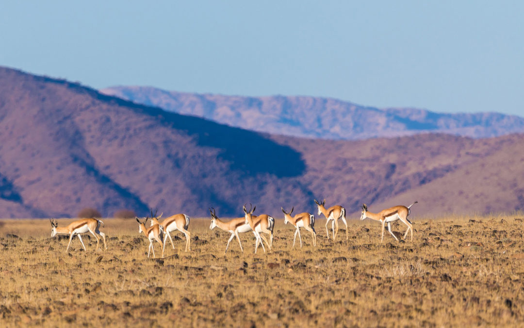 Namibia