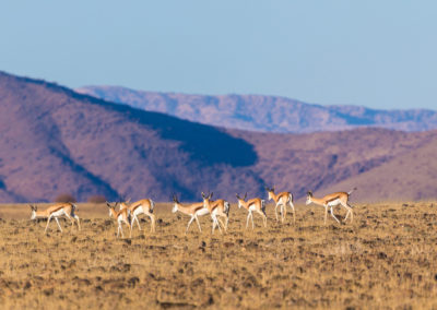 Namibia