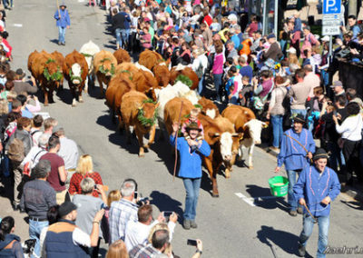 Großer Markttag und Viehabtrieb Oberried 05.10.2019