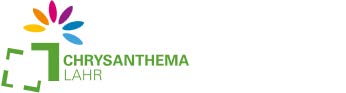 Chrysanthema in Lahr 20.10.2019