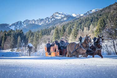 Kutschfahrt Tegernsee 26.01.2020