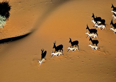 Unter dem Himmel Namibias – Gruppenreise