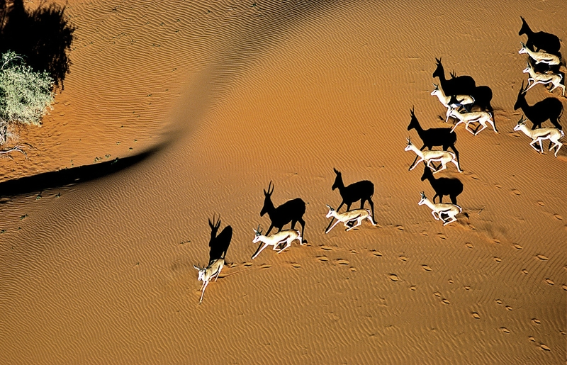 Gruppenreise Namibia Knauss Reisen Gruppenreise Namibia Knauss Reisen