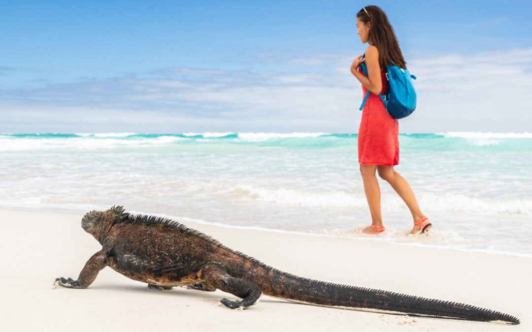 Ecuador und Galapagos Inseln