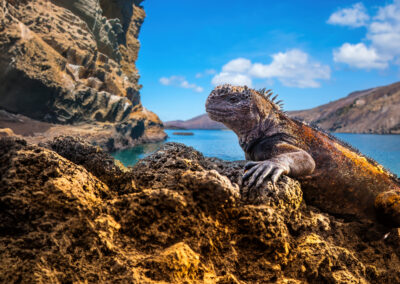 Ecuador und Galapagos Inseln